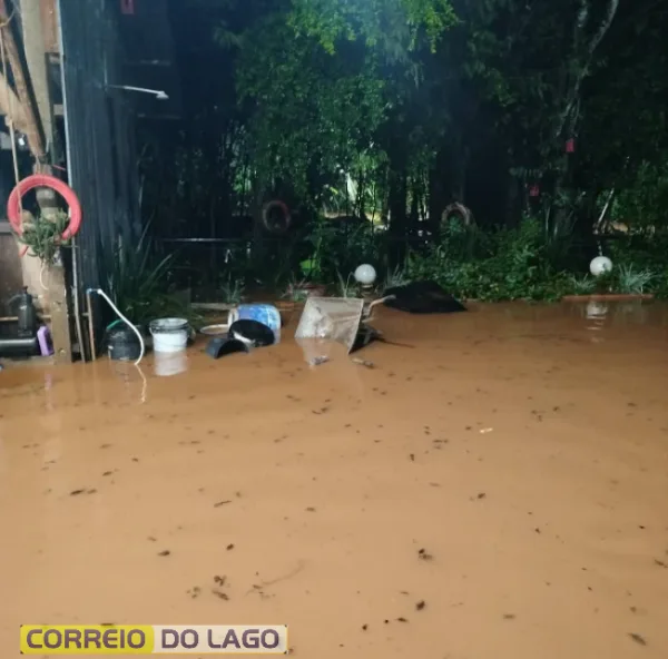 Fortes chuvas fazem rio transbordar e produtores rurais passam a noite recolhendo animais em Santa Helena